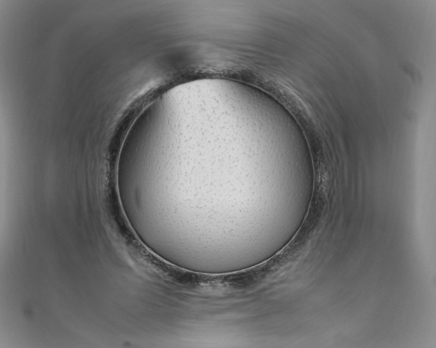 X0000108480591200904171613