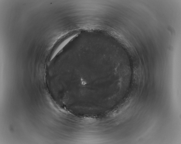X0000108480592200904171613