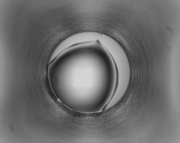 X0000108480593200904171613