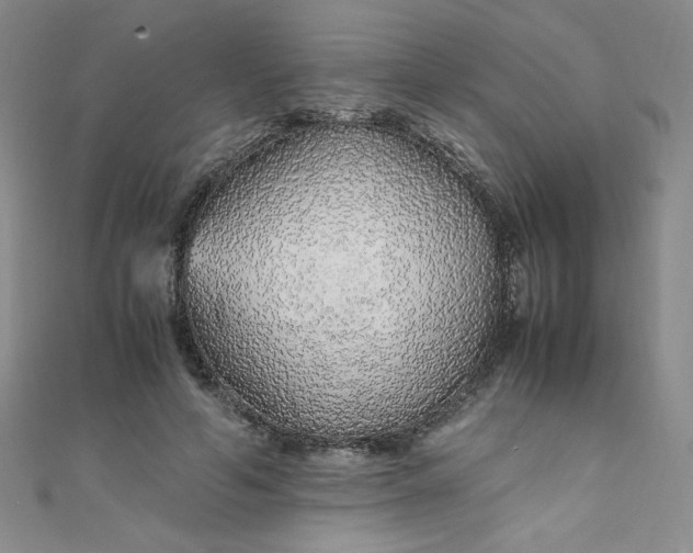 X0000108480594200904171612