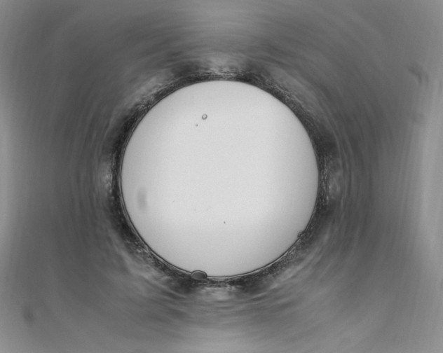 X0000108480595200904171612