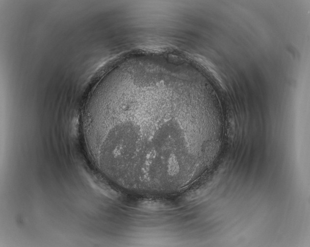 X0000108480596200904171612
