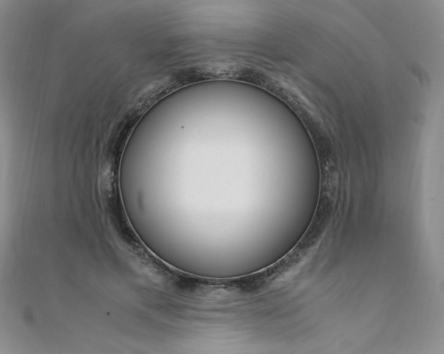 X0000108480597200904171612
