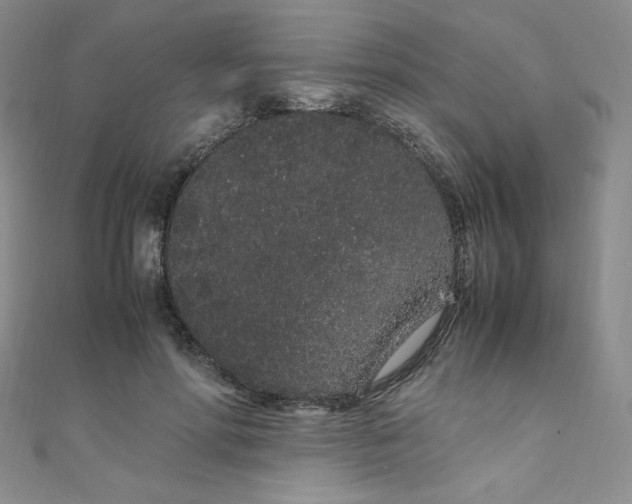 X0000108480598200904171612