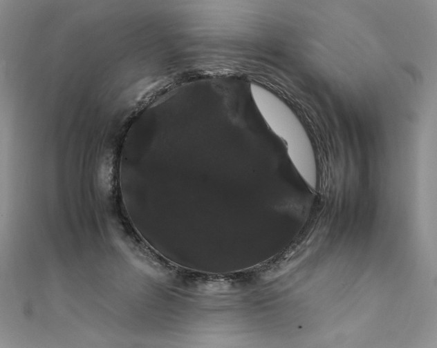 X0000108480600200904171612