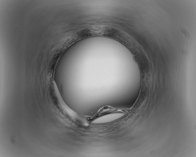 X0000108480601200904171612
