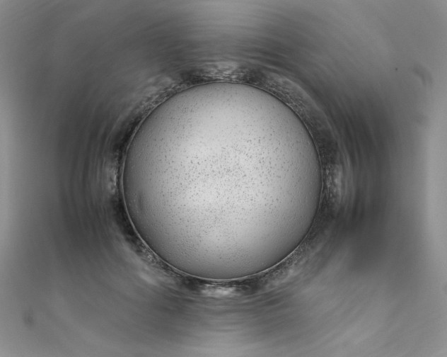 X0000108480602200904171612