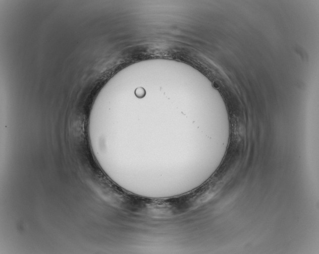 X0000108480603200904171612
