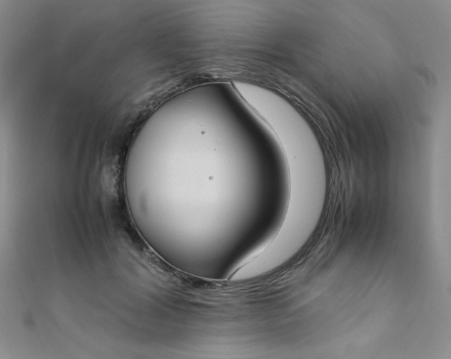 X0000108480604200904171612