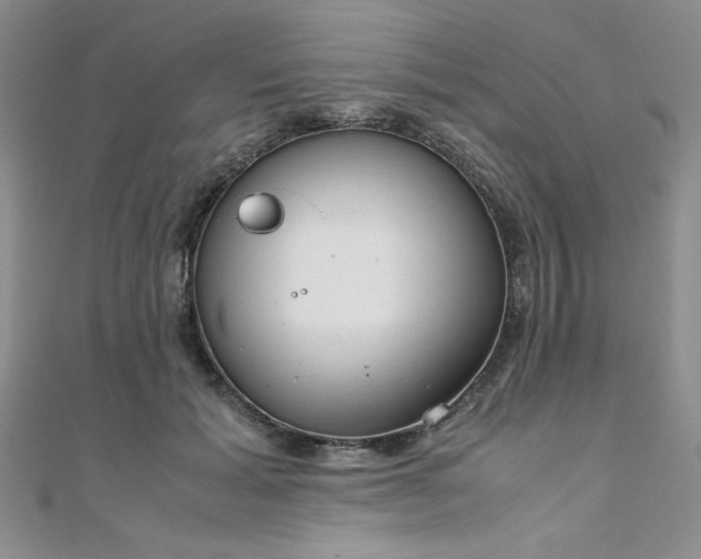 X0000108480605200904171612