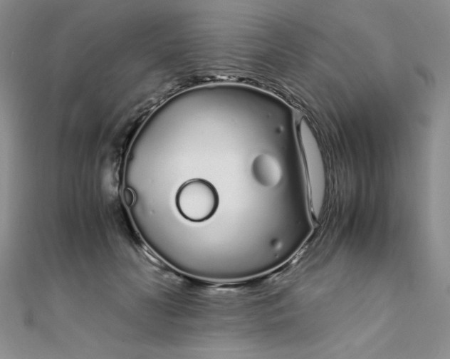 X0000108480606200904171612