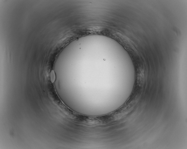 X0000108480608200904171612