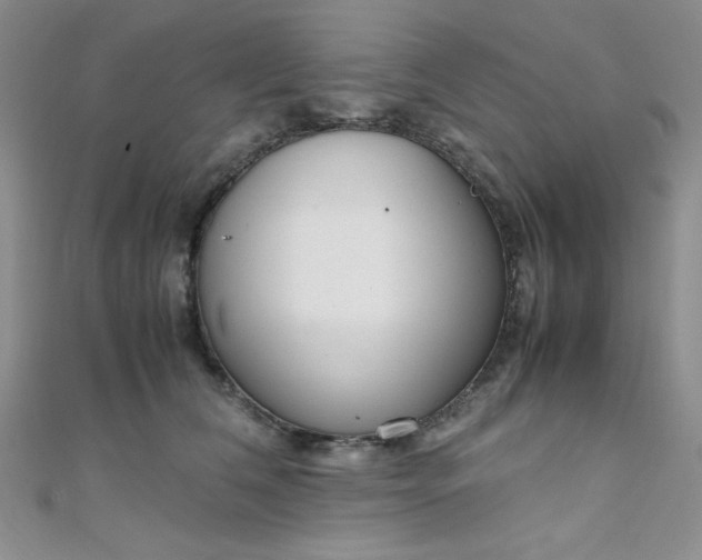 X0000108480612200904171612