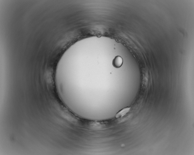 X0000108480616200904171612