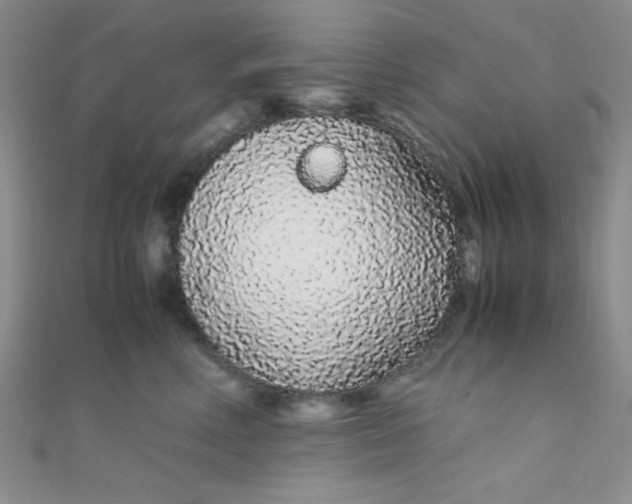 X0000108480618200904171612