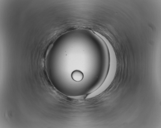 X0000108480621200904171612
