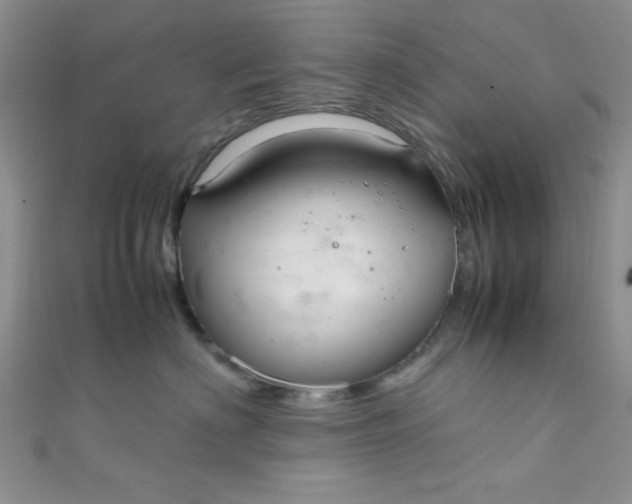 X0000108480622200904171612