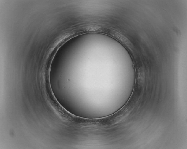 X0000108480626200904171611