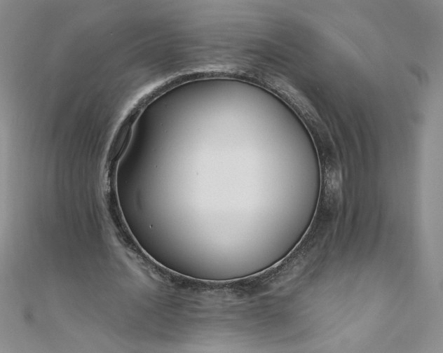 X0000108480628200904171611