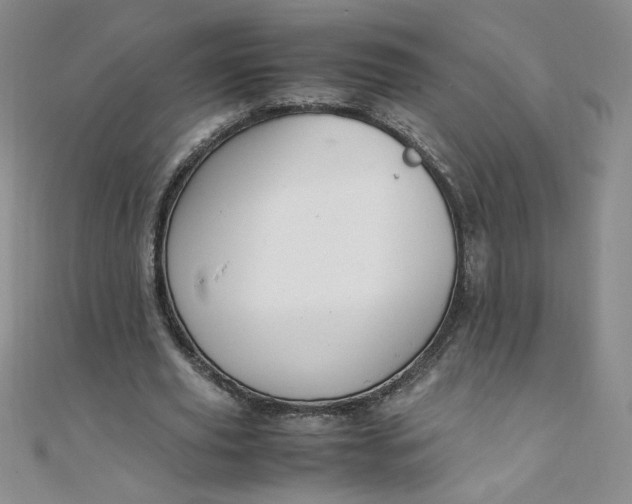 X0000108480629200904171611