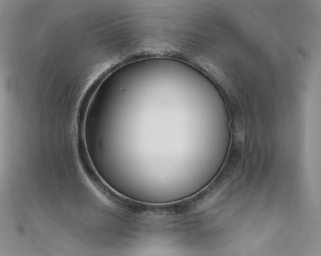 X0000108480630200904171612