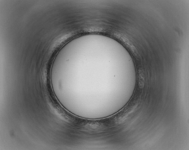 X0000108480631200904171612