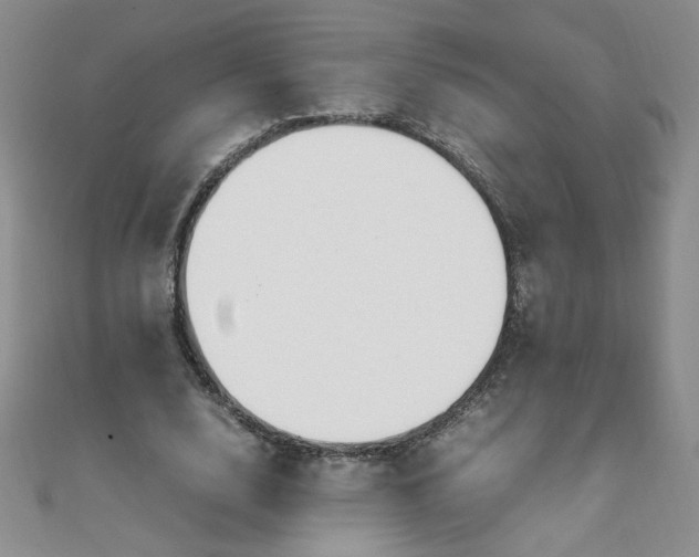 X0000108480632200904171612