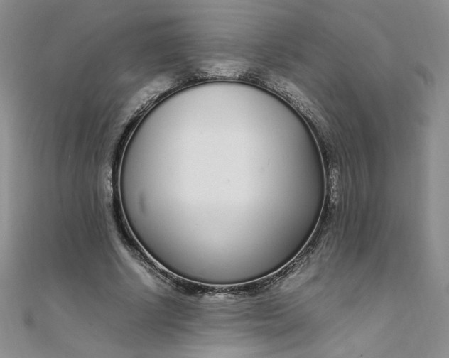 X0000108480634200904171612