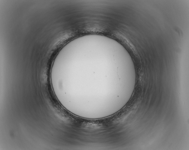 X0000108480635200904171612
