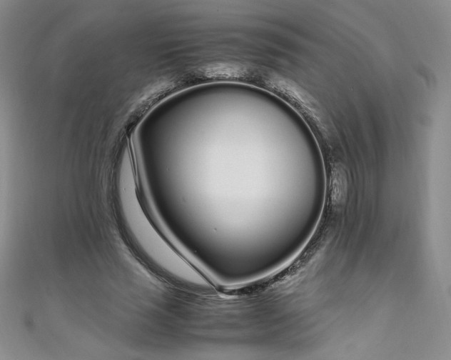 X0000108480637200904171612