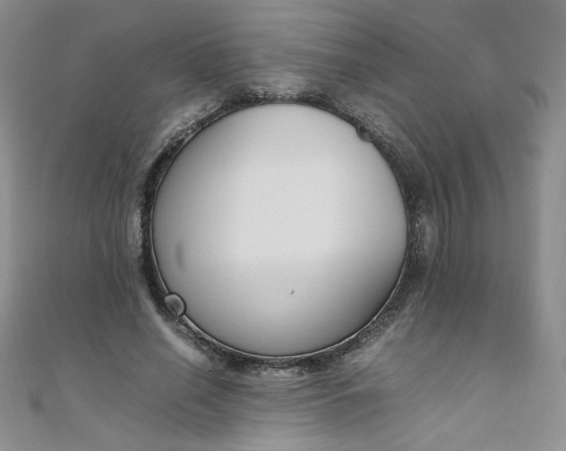 X0000108480638200904171612