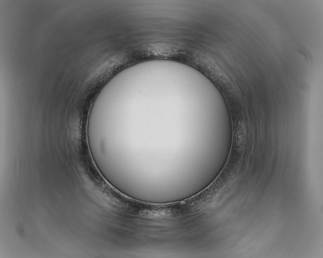 X0000108480639200904171612