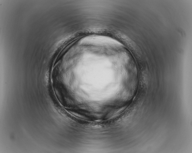 X0000108480640200904171612