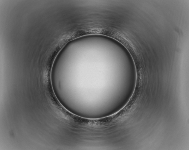 X0000108480641200904171612