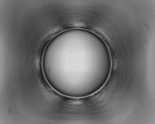 X0000108480643200904171612
