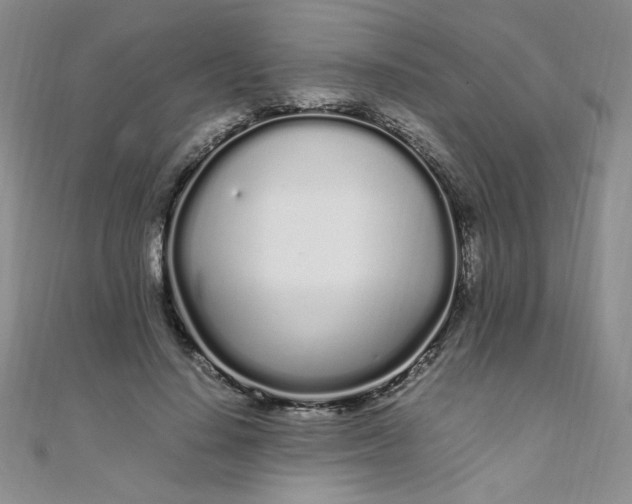 X0000108480644200904171612