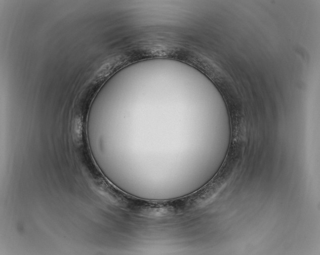 X0000108480646200904171612