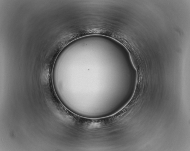 X0000108480647200904171612