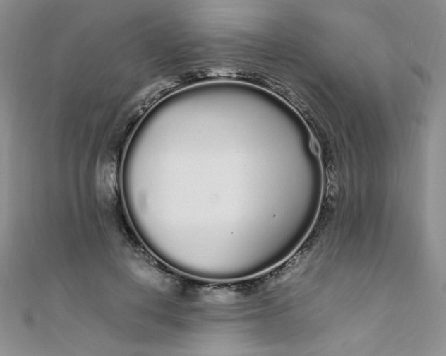 X0000108480648200904171612