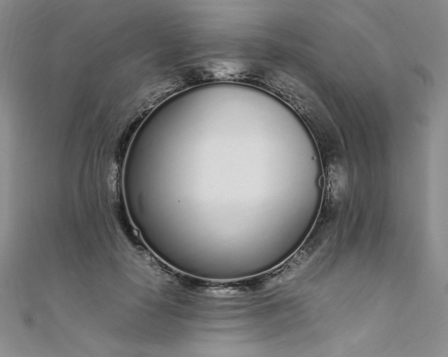 X0000108480650200904171612