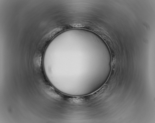 X0000108480652200904171612