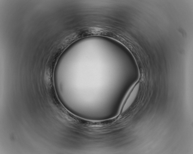 X0000108480653200904171612