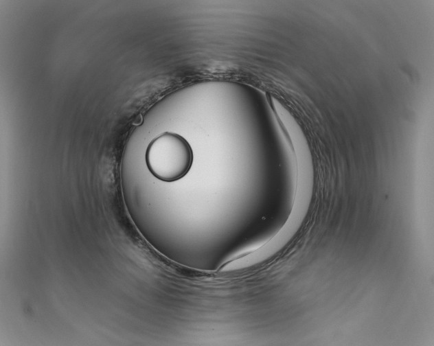 X0000108480654200904171612