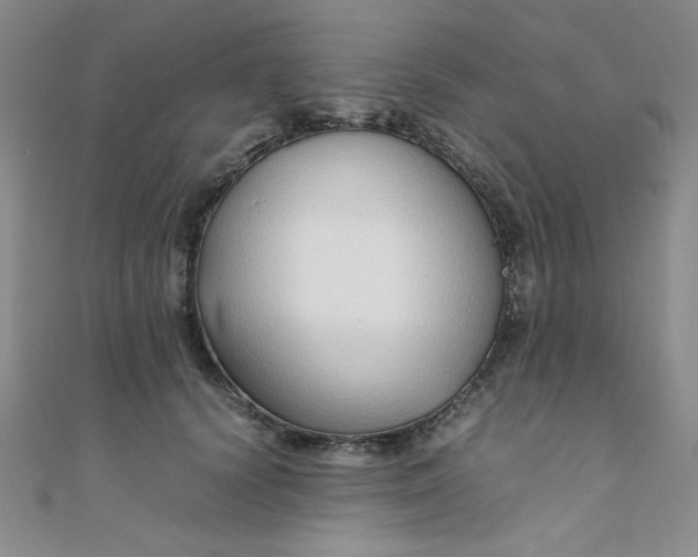 X0000108480656200904171612