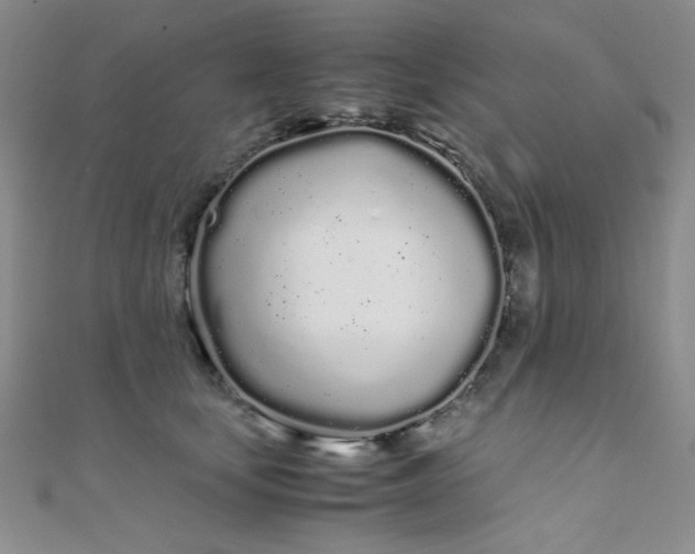 X0000108480659200904171612