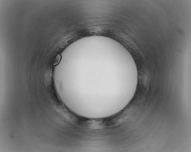 X0000108480660200904171612