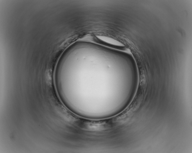 X0000108480661200904171612