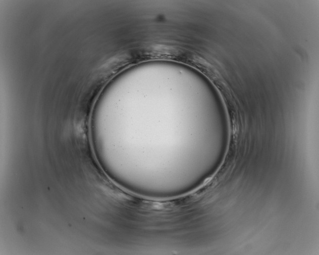 X0000108480663200904171612