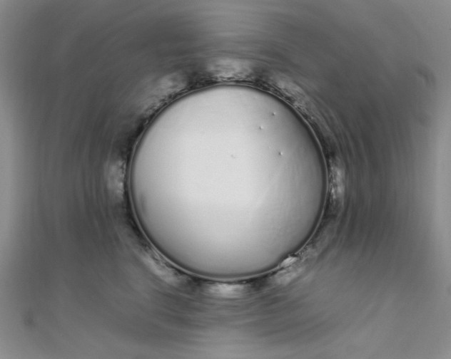 X0000108480664200904171612