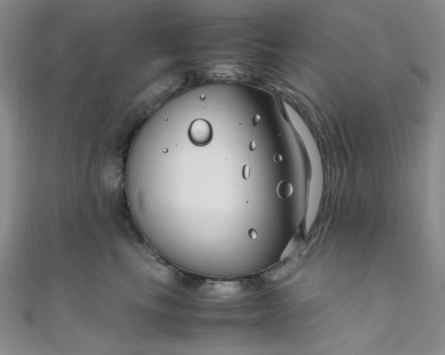 X0000108480665200904171612